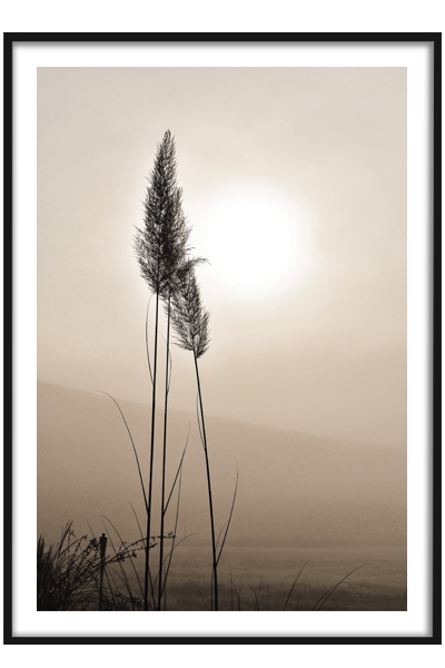 Постер Золотистый закат