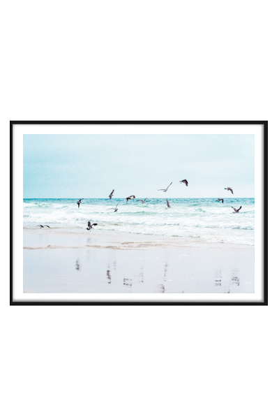 Постер  Птицы над водой