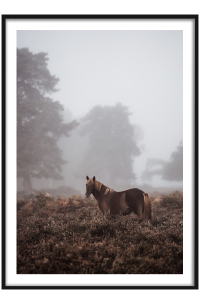 Постер Лошадь в тумане