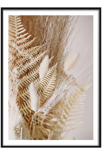 Постер Букет сухоцветов