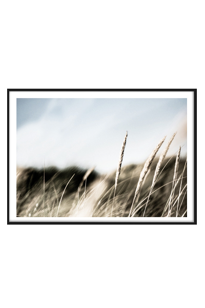 Постер Трава на ветру