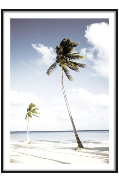 Постер Пальмы на берегу