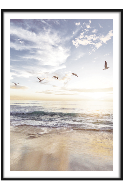 Постер Птицы над морем