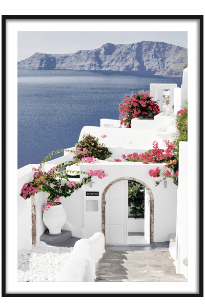 Постер  Цветы Санторини