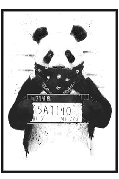 Постер Панда с табличкой