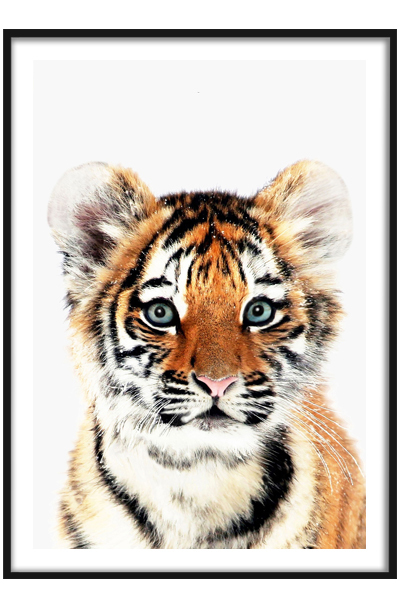 Постер Тигренок