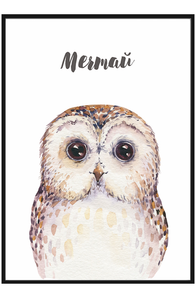 Постер Совенок. Мечтай