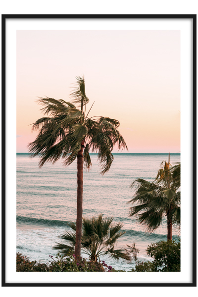 Постер Пальмы на закате