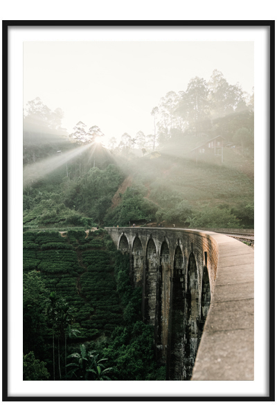 Постер Мост в тропическом лесу