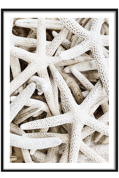 Постер Морские звезды