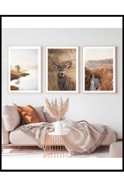 Готовое решение #287