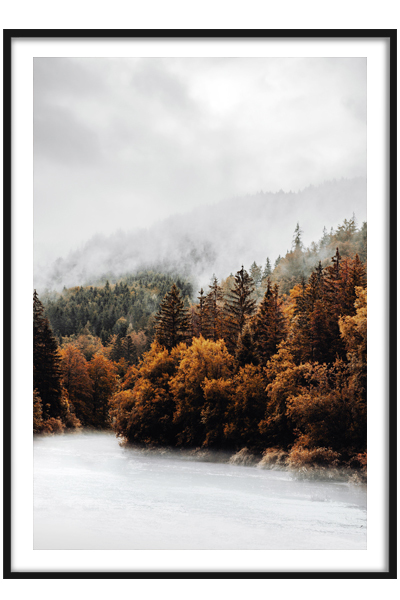 Постер  Лес в тумане