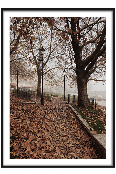 Постер  Осень в городе