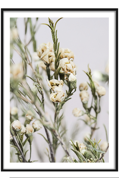 Постер  Желтые бутоны