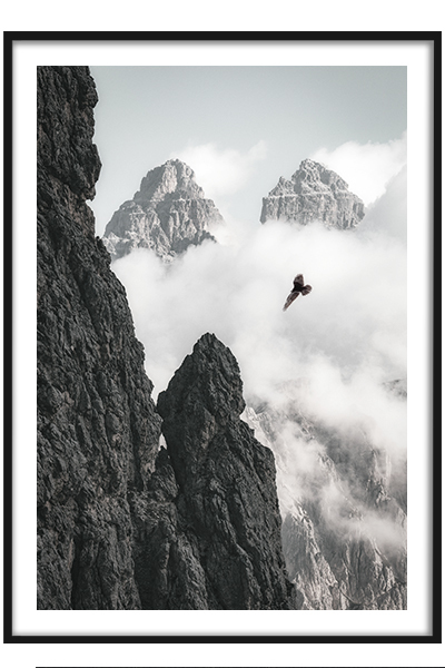 Постер  Парящий орел