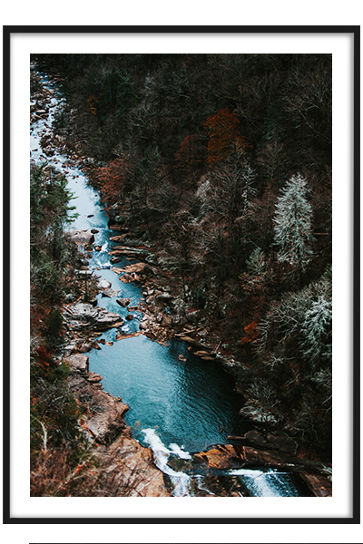 Постер  Лесная речка