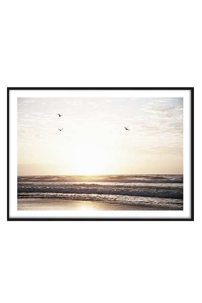 Постер Птицы над океаном