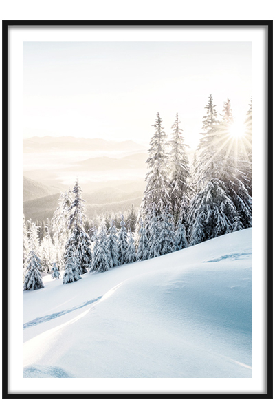 Постер  Заснеженный склон