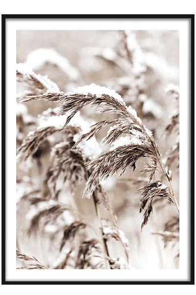 Постер Под снегом