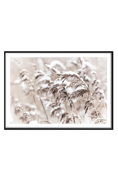 Постер Под снегом (горизонт)