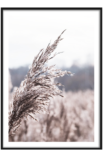 Постер Травинка