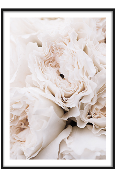 Постер  Бежевый букет