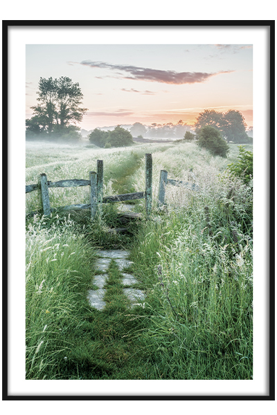 Постер  Тропа через поле