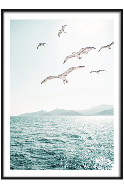 Постер Чайки над морем