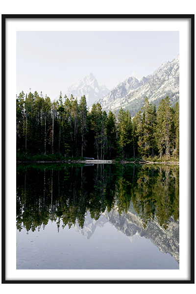 Постер Лесное отражение