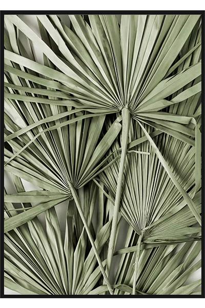 Постер Зеленые тропические листья