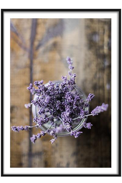 Постер Лаванда в вазе