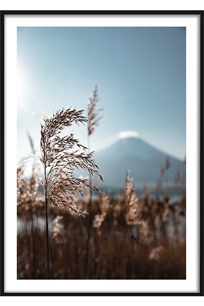 Постер ПРЕДГОРНАЯ ТРАВА