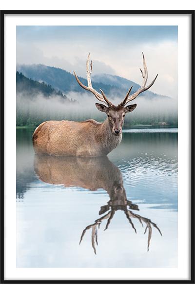 Постер ОЛЕНЬ В ОЗЕРЕ