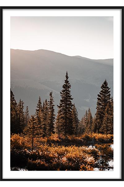 Постер ОСЕНЬ В ЛЕСУ