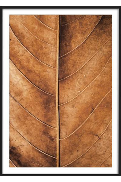 Постер ОСЕННИЙ ЛИСТОК