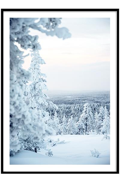 Постер ЗИМНИЙ ЛЕС