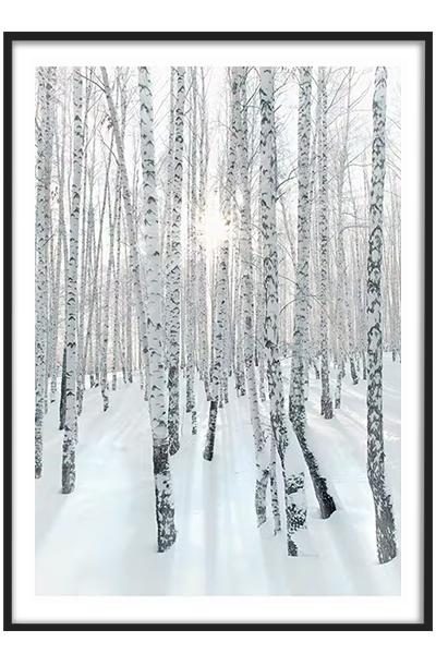 Постер СНЕЖНЫЙ БЕРЕЗОВЫЙ ЛЕС