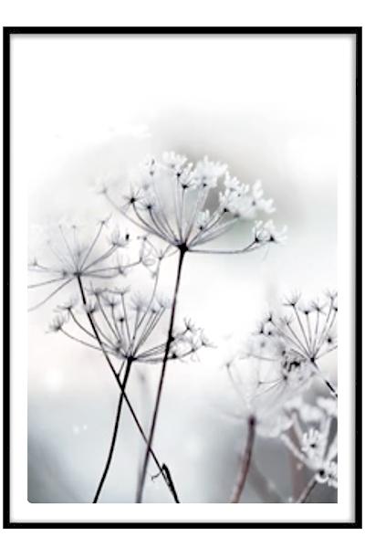 Постер ЗОНТИКИ В СНЕЖНОМ ПОЛЕ