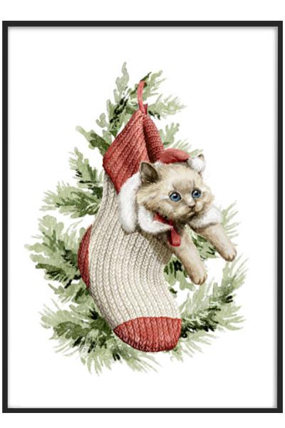 Постер КОТЁНОК В НОСКЕ