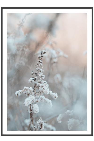 Постер  ЗАМЕРЗШИЕ ТРАВИНКИ