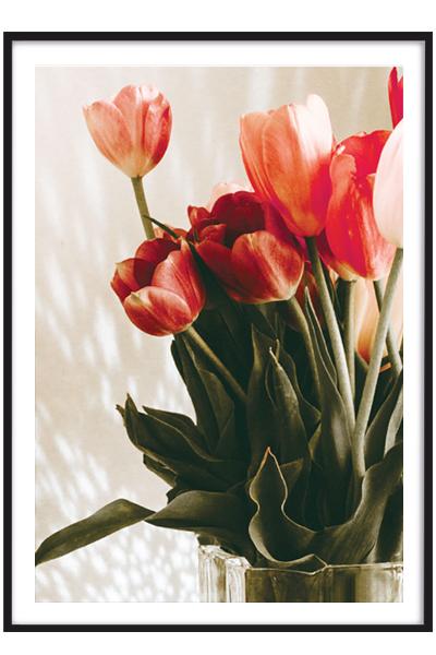 Постер ТЮЛЬПАНЫ В ВАЗЕ