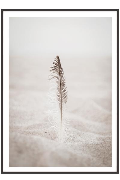 Постер ПЕРО В ПЕСКЕ