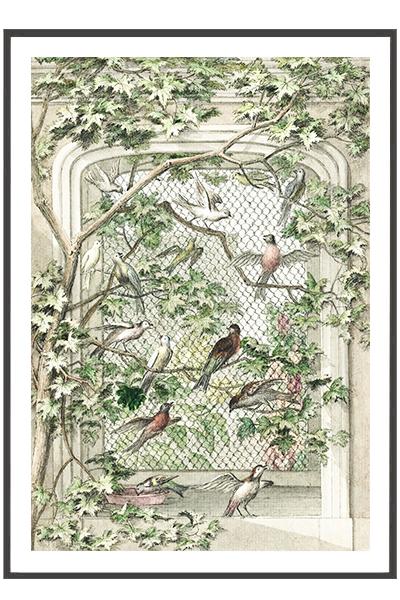 Постер  ПТИЦЫ НА ВЕТКАХ