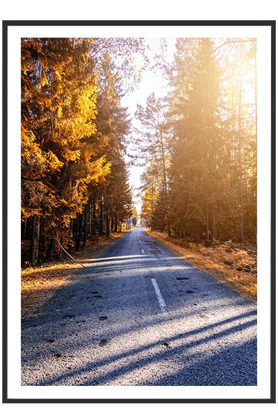 Постер Дорога через осенний лес №2