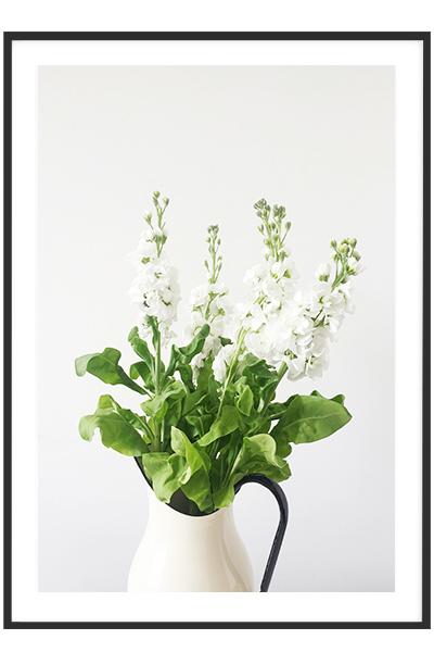 Постер  БУКЕТ ЛЕВКОЯ