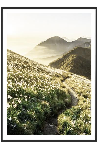 Постер ЦВЕТУЩИЙ ХОЛМ