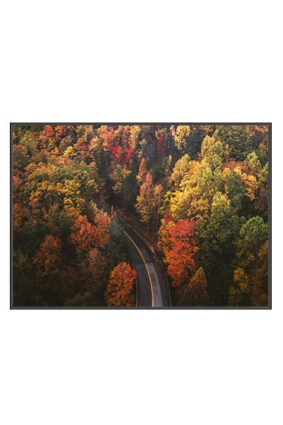 Постер  ОСЕННЯЯ ДОРОГА