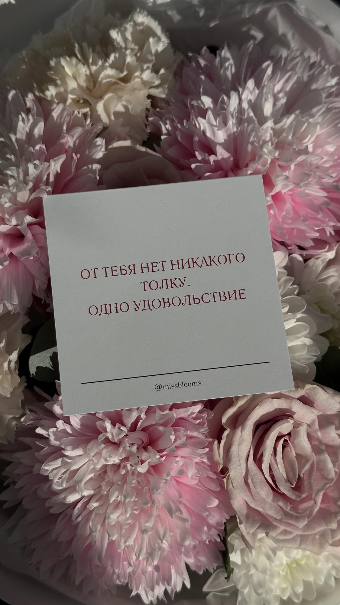 Открытка «Одно удовольствие »