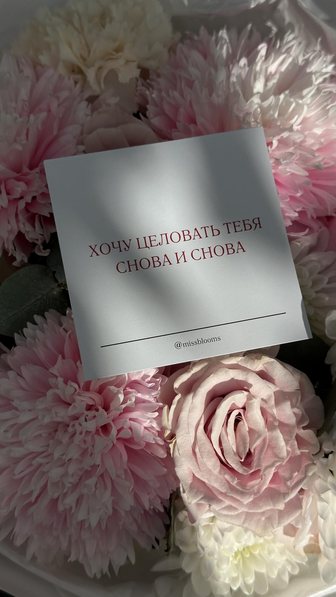 Открытка «Хочу целовать тебя»