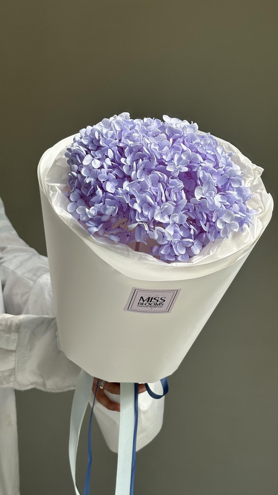 Стабилизированная  гортензия голубая